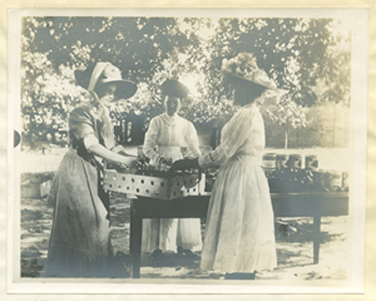 One of the girls of the Tomato Club and her mother learning to can tomatoes, 1910 (Aiken County, S.C.)