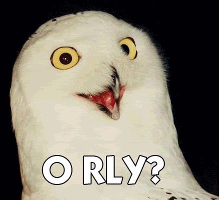 Owls saying 'orly'
