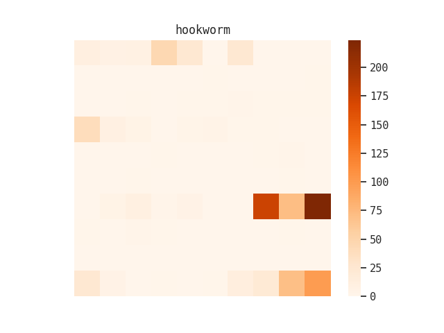 Distribution of hookworm term within Rockefeller Foundation collection